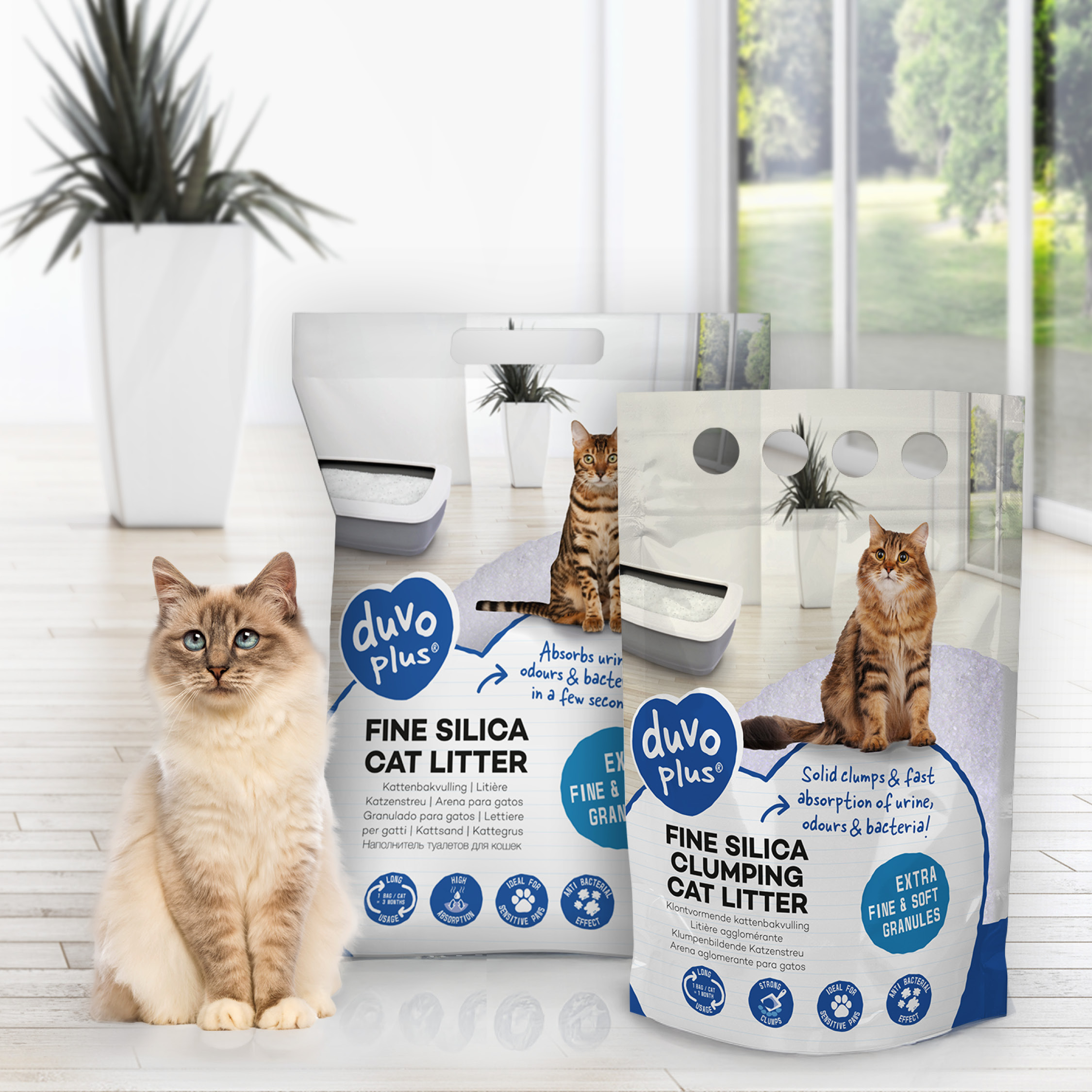 duvoplus Litière Silica pour chat : découvrez tous les avantages !