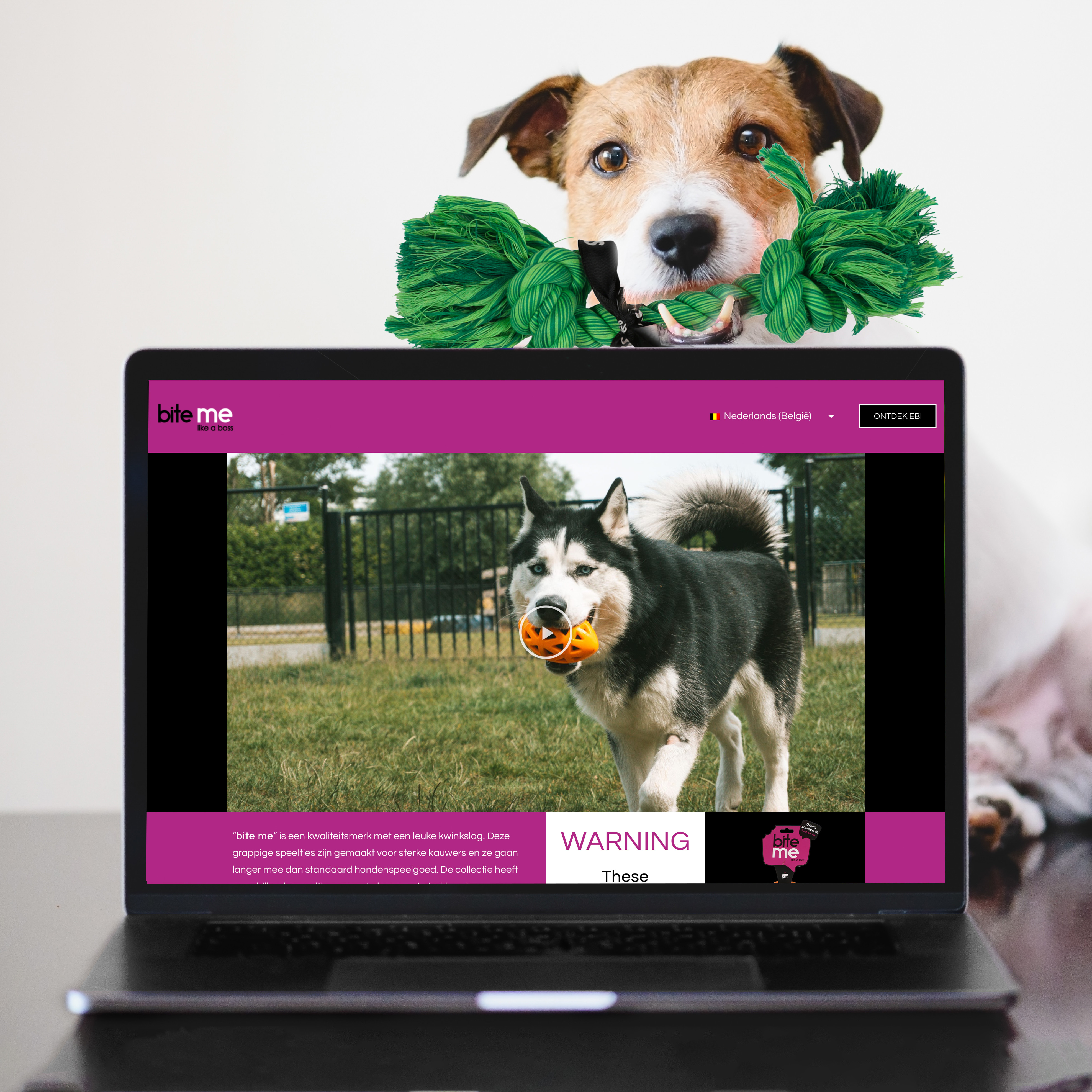 Maximieren Sie Ihre Reichweite mit Markenerfahrung