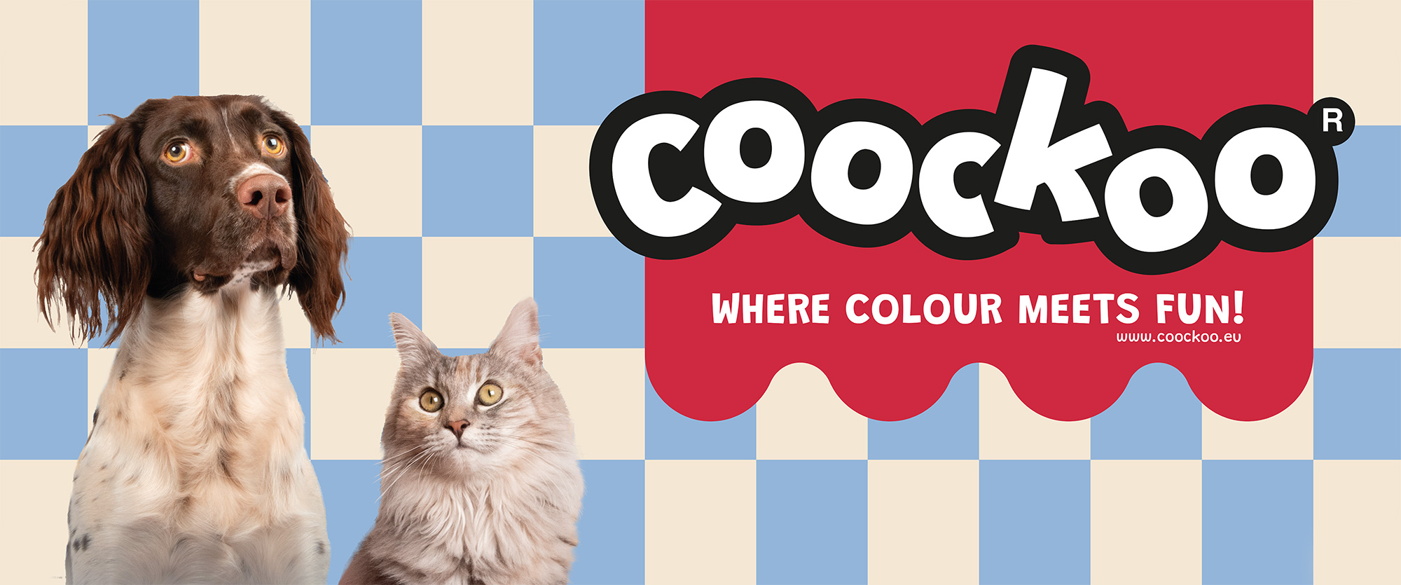 NEU: Coockoo: Wo Farbe auf Spaß trifft!