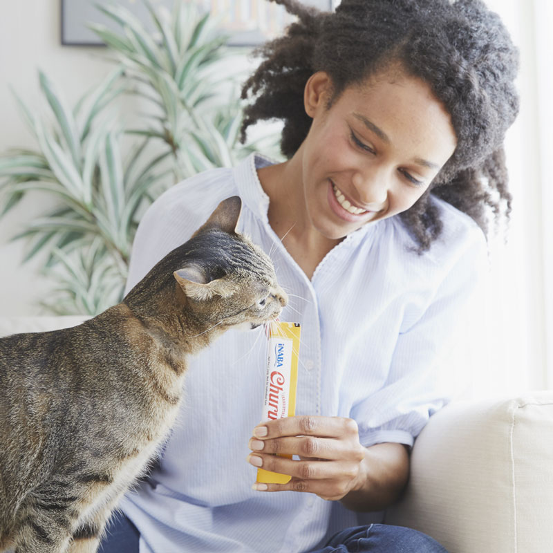 Nouveau chez Laroy Group : snacks pour chats et chiens INABA !